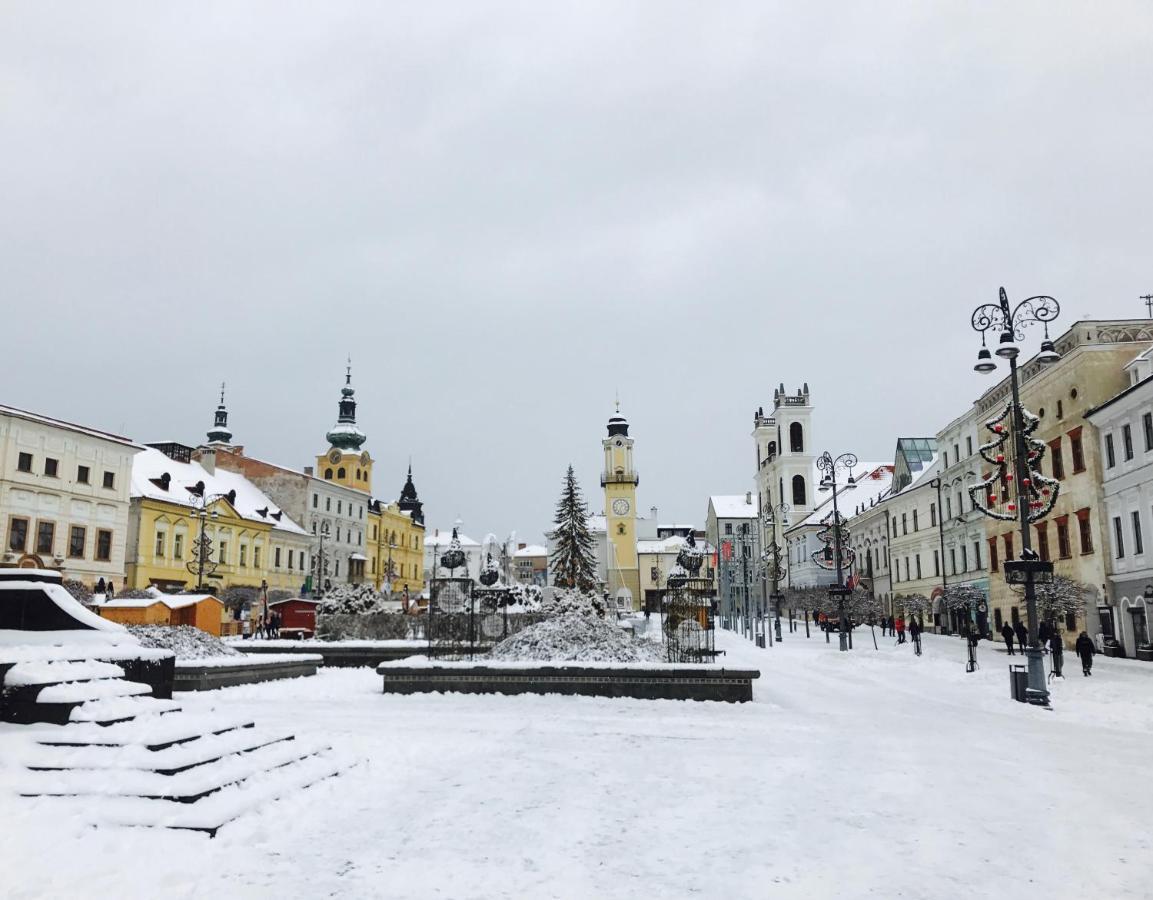Bl - The Penthouse, 24Hr Self Check-In, 2 Bedrooms, Fireplace, Ac, Panoramic View From Main Balcony, 3-Minute Walk To City Center Banská Bystrica Extérieur photo