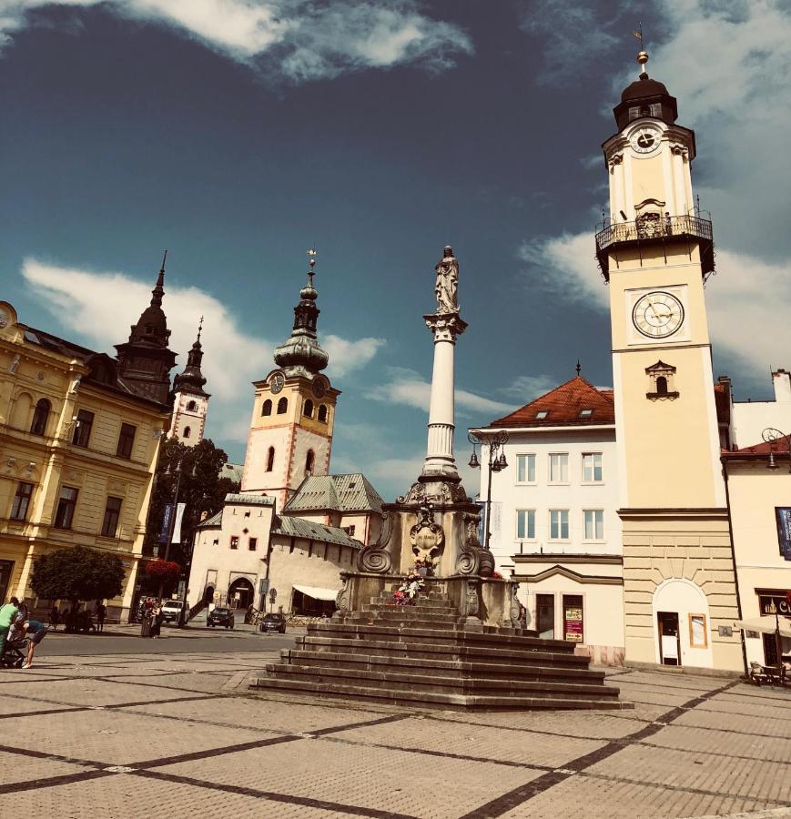 Bl - The Penthouse, 24Hr Self Check-In, 2 Bedrooms, Fireplace, Ac, Panoramic View From Main Balcony, 3-Minute Walk To City Center Banská Bystrica Extérieur photo